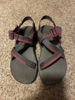 Chaco WomenZCloud Sandals OutdoorAdjustable Strap Non Slip ply chocolate maroon